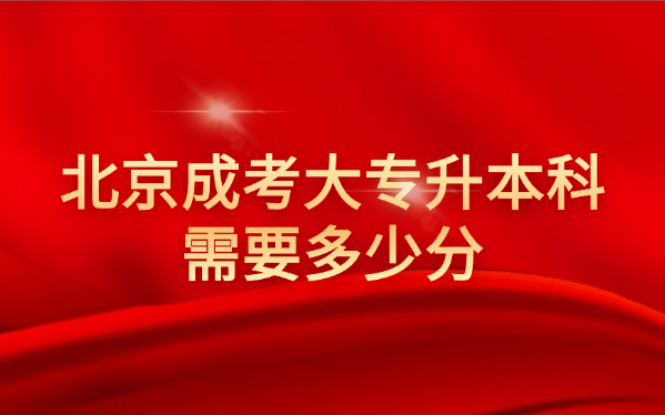 北京成考