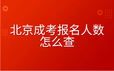 北京成考