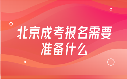 北京成考